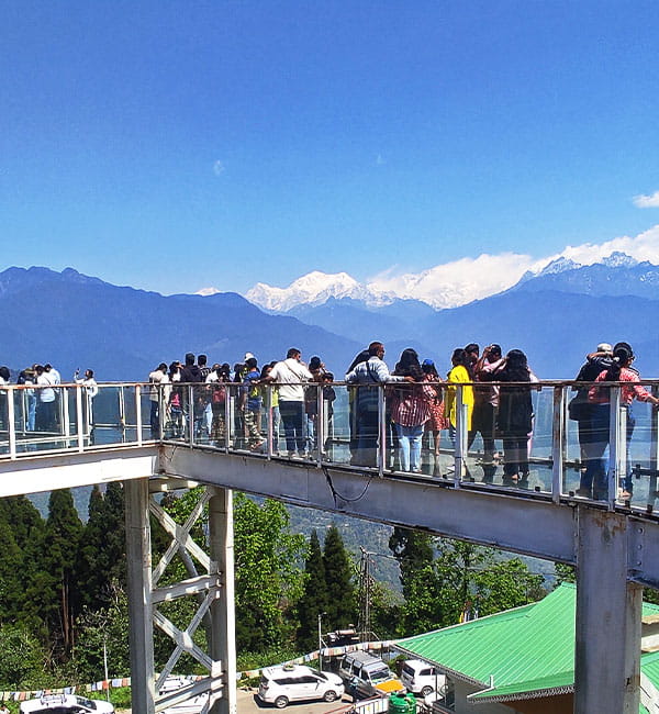 Pelling Skywalk